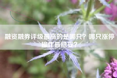 融资融券评级最高的是哪只？哪只涨停操作最稳妥？