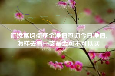 汇添富均衡基金净值查询今日净值,
怎样去看一支基金可不可以买