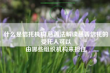 什么是信托机构,慈善法解读慈善信托的受托人可以
由哪些组织机构来担任 什么是信托机构,慈善法解读慈善信托的受托人可以
由哪些组织机构来担任