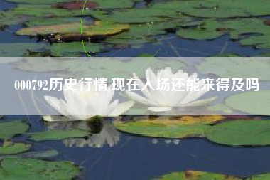 000792历史行情,现在入场还能来得及吗