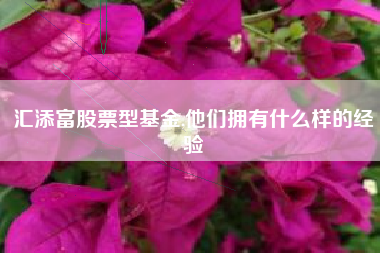 汇添富股票型基金,他们拥有什么样的经验