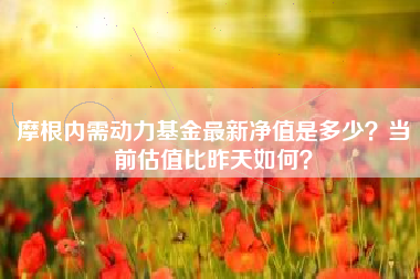 摩根内需动力基金最新净值是多少？当前估值比昨天如何？