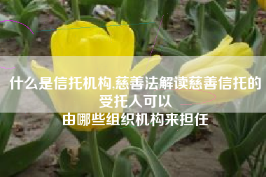 什么是信托机构,慈善法解读慈善信托的受托人可以
由哪些组织机构来担任 什么是信托机构,慈善法解读慈善信托的受托人可以
由哪些组织机构来担任