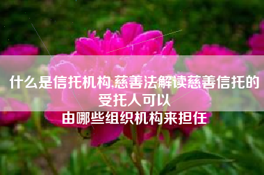 什么是信托机构,慈善法解读慈善信托的受托人可以
由哪些组织机构来担任 什么是信托机构,慈善法解读慈善信托的受托人可以
由哪些组织机构来担任