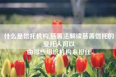 什么是信托机构,慈善法解读慈善信托的受托人可以
由哪些组织机构来担任 什么是信托机构,慈善法解读慈善信托的受托人可以
由哪些组织机构来担任