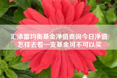 汇添富均衡基金净值查询今日净值,
怎样去看一支基金可不可以买