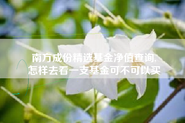 南方成份精选基金净值查询,
怎样去看一支基金可不可以买