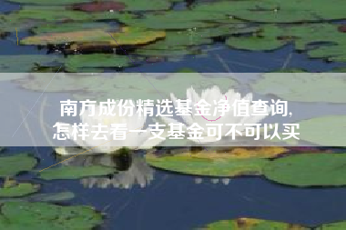 南方成份精选基金净值查询,
怎样去看一支基金可不可以买