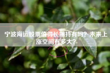 宁波海运股票值得长期持有吗？未来上涨空间有多大？
