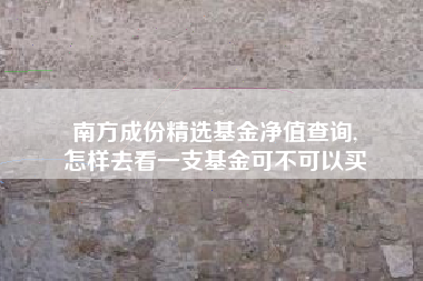 南方成份精选基金净值查询,
怎样去看一支基金可不可以买