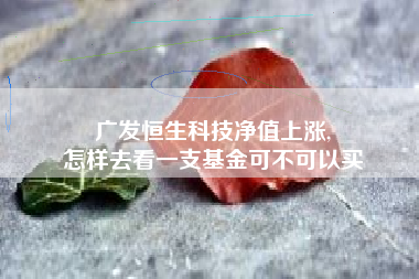 广发恒生科技净值上涨,
怎样去看一支基金可不可以买