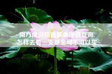 南方成份精选基金净值查询,
怎样去看一支基金可不可以买