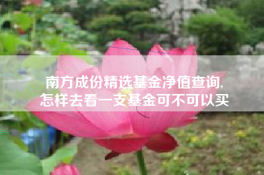 南方成份精选基金净值查询,
怎样去看一支基金可不可以买