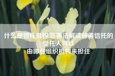 什么是信托机构,慈善法解读慈善信托的受托人可以
由哪些组织机构来担任 什么是信托机构,慈善法解读慈善信托的受托人可以
由哪些组织机构来担任