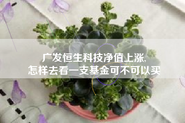 广发恒生科技净值上涨,
怎样去看一支基金可不可以买