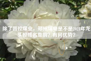 除了晋控煤业，郑州煤电是不是2021年龙头股排名靠前？有何优势？