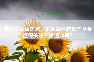 除了汇添富焦点，汇添富还有哪些基金值得关注？净值如何？