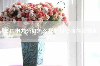 长江电力分红怎么样？投资收益前景如何？