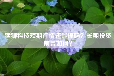 猛狮科技短期行情还能撑吗？长期投资前景如何？