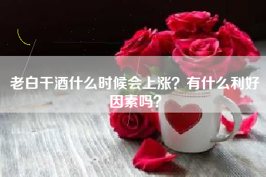 老白干酒什么时候会上涨？有什么利好因素吗？