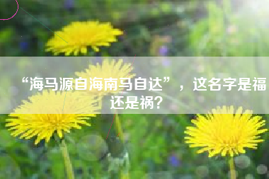 “海马源自海南马自达”，这名字是福还是祸？