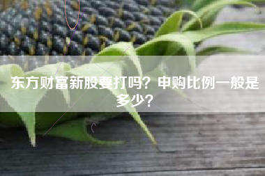 东方财富新股要打吗？申购比例一般是多少？