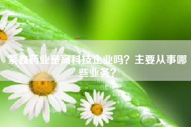 紫鑫药业是高科技企业吗？主要从事哪些业务？