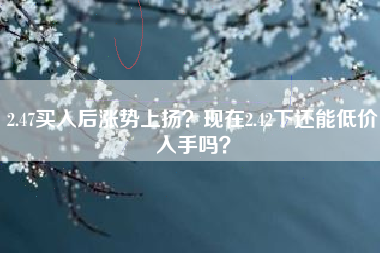 2.47买入后涨势上扬？现在2.42下还能低价入手吗？