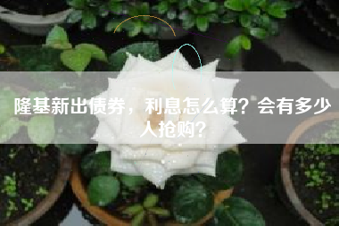隆基新出债券，利息怎么算？会有多少人抢购？