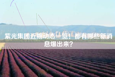 紫光集团近期动态一览!都有哪些新消息爆出来?
