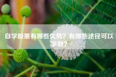 自学股票有哪些优势？有哪些途径可以学到？