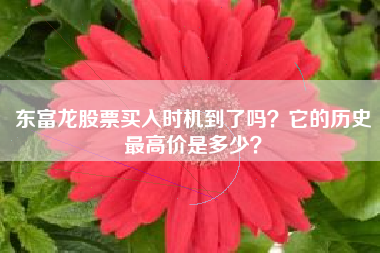东富龙股票买入时机到了吗？它的历史最高价是多少？
