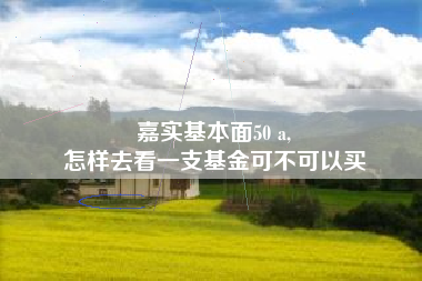 嘉实基本面50 a,
怎样去看一支基金可不可以买