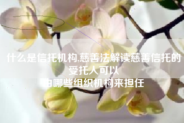 什么是信托机构,慈善法解读慈善信托的受托人可以
由哪些组织机构来担任 什么是信托机构,慈善法解读慈善信托的受托人可以
由哪些组织机构来担任