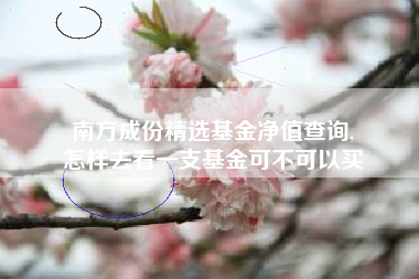 南方成份精选基金净值查询,
怎样去看一支基金可不可以买
