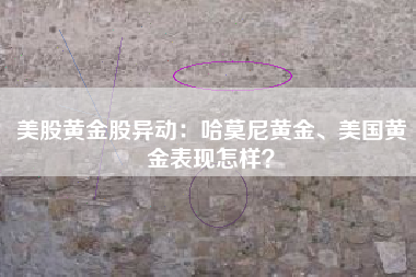 美股黄金股异动:哈莫尼黄金、美国黄金表现怎样?