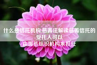 什么是信托机构,慈善法解读慈善信托的受托人可以
由哪些组织机构来担任 什么是信托机构,慈善法解读慈善信托的受托人可以
由哪些组织机构来担任