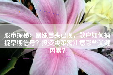 股市探秘：暴涨苗头已现，散户如何捕捉早期信号？投资决策需注意哪些关键因素？