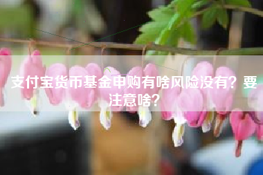 支付宝货币基金申购有啥风险没有？要注意啥？