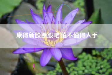 康得新股票股吧,值不值得入手