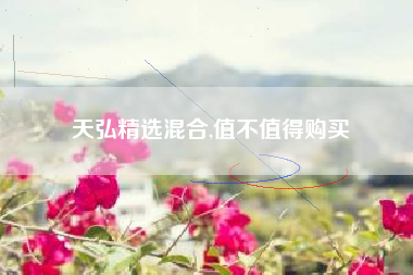 天弘精选混合,值不值得购买