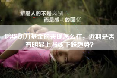 鹏华动力基金的表现怎么样，近期是否有明显上涨或下跌趋势？