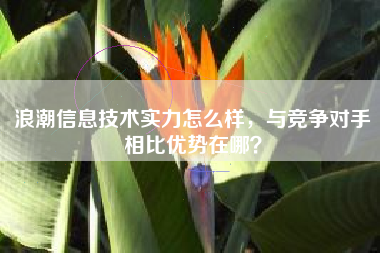 浪潮信息技术实力怎么样，与竞争对手相比优势在哪？