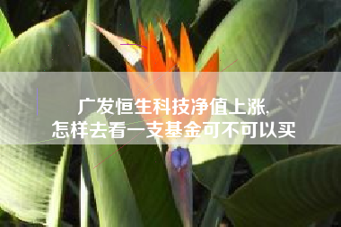 广发恒生科技净值上涨,
怎样去看一支基金可不可以买