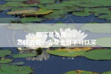 嘉实基本面50 a,
怎样去看一支基金可不可以买
