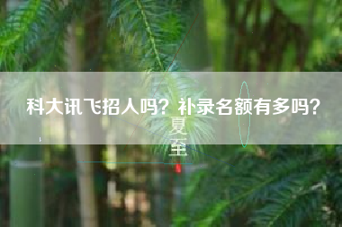 科大讯飞招人吗？补录名额有多吗？