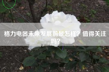 格力电器未来发展前景怎样?值得关注吗?