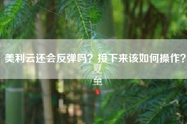 美利云还会反弹吗？接下来该如何操作？