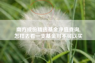 南方成份精选基金净值查询,
怎样去看一支基金可不可以买