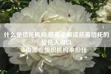 什么是信托机构,慈善法解读慈善信托的受托人可以
由哪些组织机构来担任 什么是信托机构,慈善法解读慈善信托的受托人可以
由哪些组织机构来担任